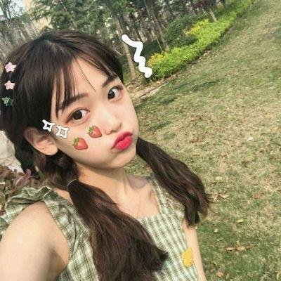 玫瑰人生国语