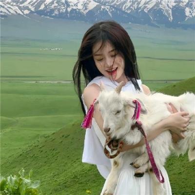 秦时明月之龙腾万里
